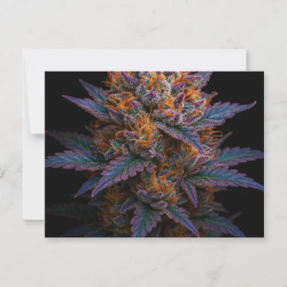 Exotic Weed Postcard