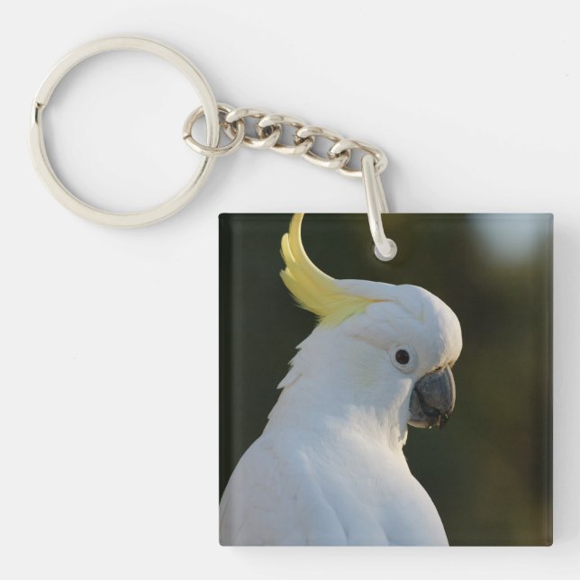 Exotic White Cockatoo Key Ring (Front)