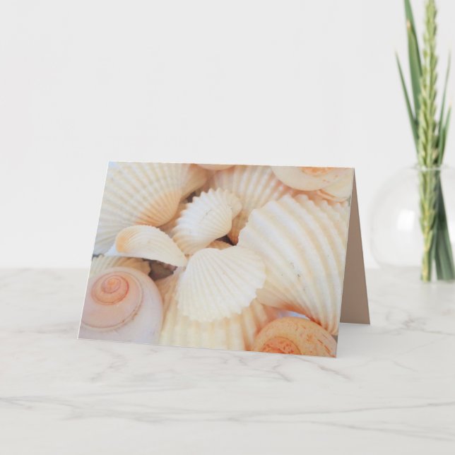 Exotic White Peach Sea Shells, Summer Beach Card (Front)