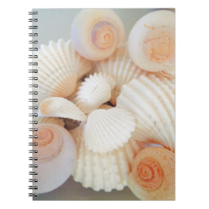 Exotic White Peach Sea Shells, Summer Beach Notebook