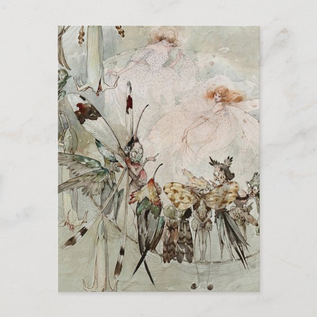 “Exotics at Play” by A Duncan Carse Postcard (Front)