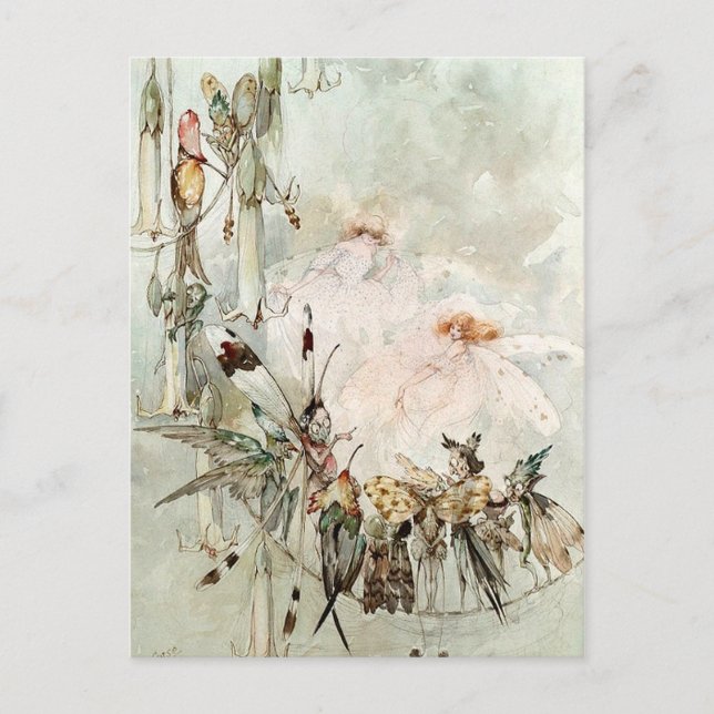 “Exotics at Play” Postcard (Front)