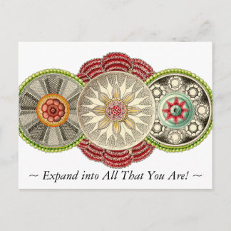 Expand into All That You Are Postcard! Postcard