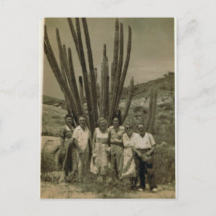 Expats working for Esso in Aruba Postcard