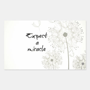 Expect a Miracle Inspirational Rectangular Sticker