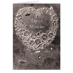 Expect Miracles