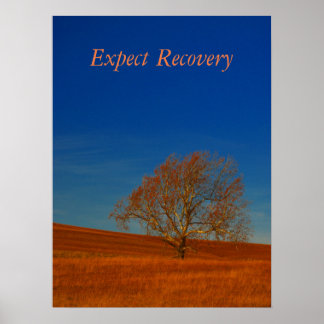 Expect Recovery Poster