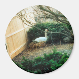 Expectant Mother Magnet