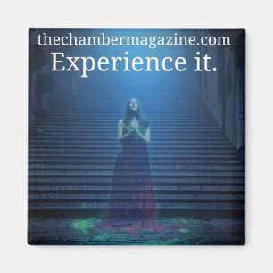 experience it magnet