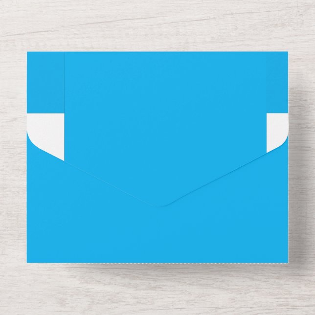 Experience the Beauty of a Blue Sky with a Plane All In One Invitation (Back)