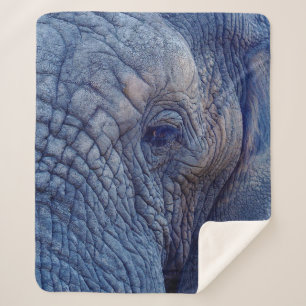 EXPERIENCE WALK WITH THE ELEPHANTS HOW ABOUT HUGGI SHERPA BLANKET