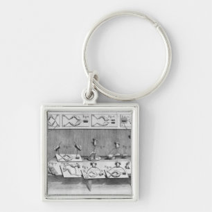 Experiment on frogs key ring