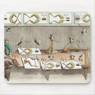 Experiment on frogs mouse pad