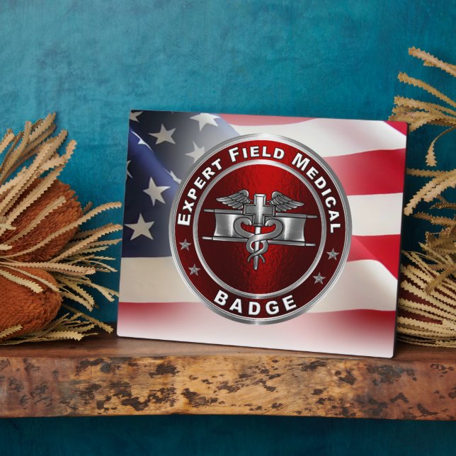 Expert Field Medical Badge (EFMB) Plaque (Side)