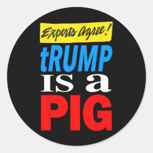Experts Agree Trump Is A Pig Classic Round Sticker