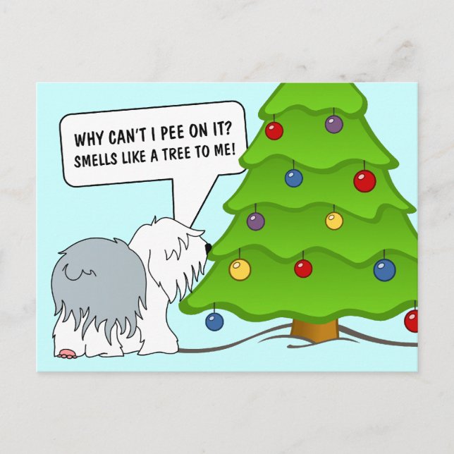 Explain the meaning of Christmas to your dog now! Holiday Postcard (Front)