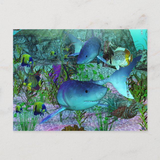 Exploration 3D Sharks Postcard (Front)