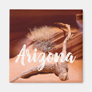 Explore Arizona Magnet