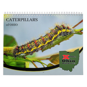 Explore Ohio Outdoors Caterpillars of Ohio Calendar