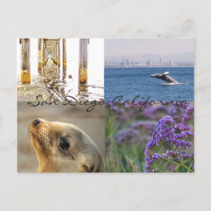 Explore San Diego Postcard