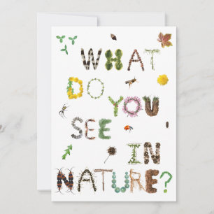 Explore the outdoors - Teacher card - Outdoor Ed