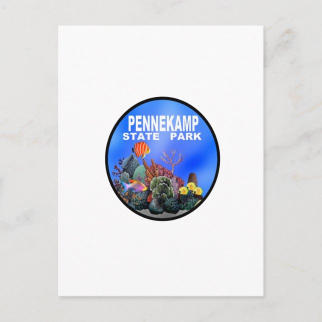 EXPLORE THE REEFS POSTCARD (Front)