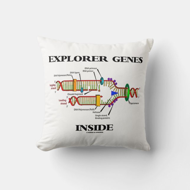 Explorer Genes Inside DNA Replication Cushion (Front)
