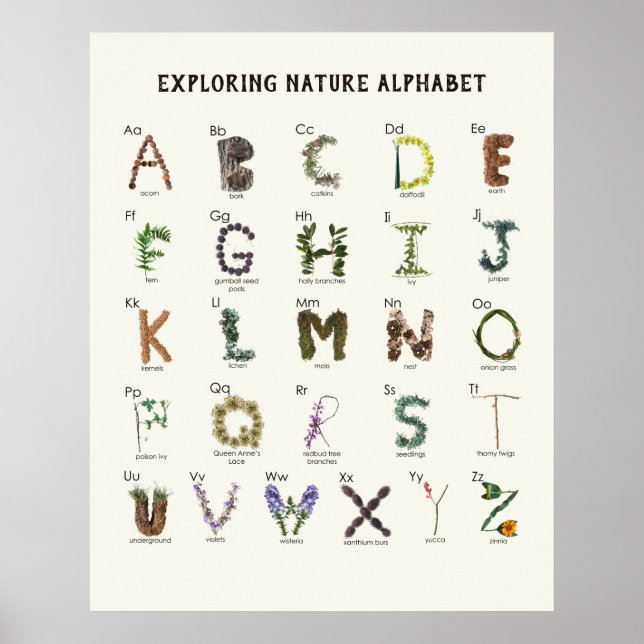 Exploring Nature Alphabet | Woodland ABC Nursery  Poster (Front)