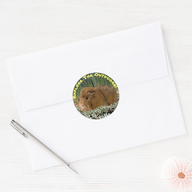 Exploring Nature Guinea Pig Photograph Custom Text Classic Round Sticker (Envelope)