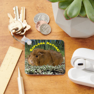 Exploring Nature With A Cute Guinea Pig Photograph Key Ring
