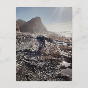 Exploring Rocky Tide Pools Sunny Beach Day Postcard