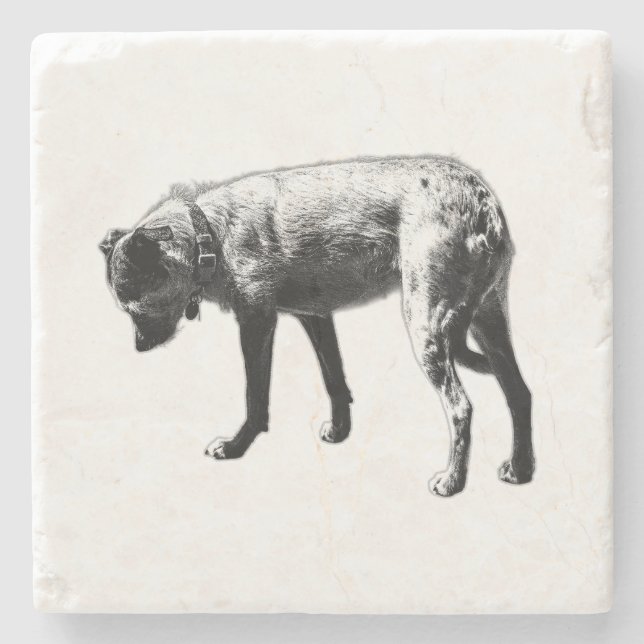 Exploring Terrier Mix Coaster (Front)