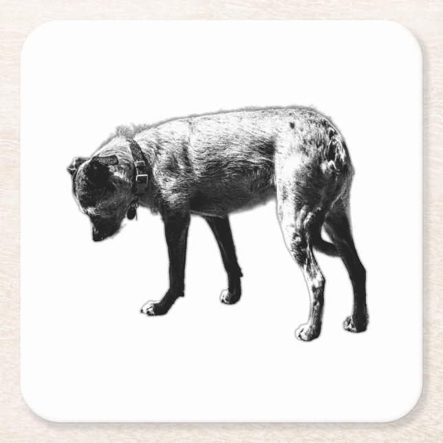 Exploring Terrier Mix Coaster (Front)