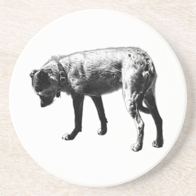 Exploring Terrier Mix Coaster (Front)