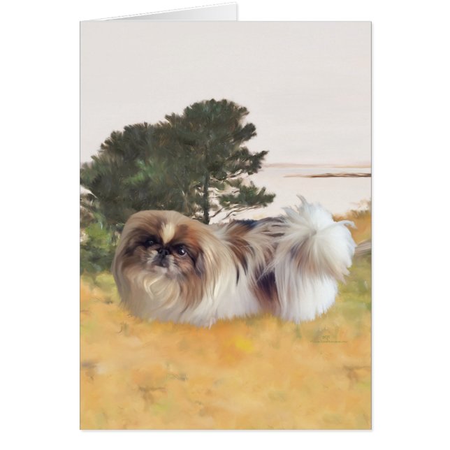 Exploring the Shore (Front)