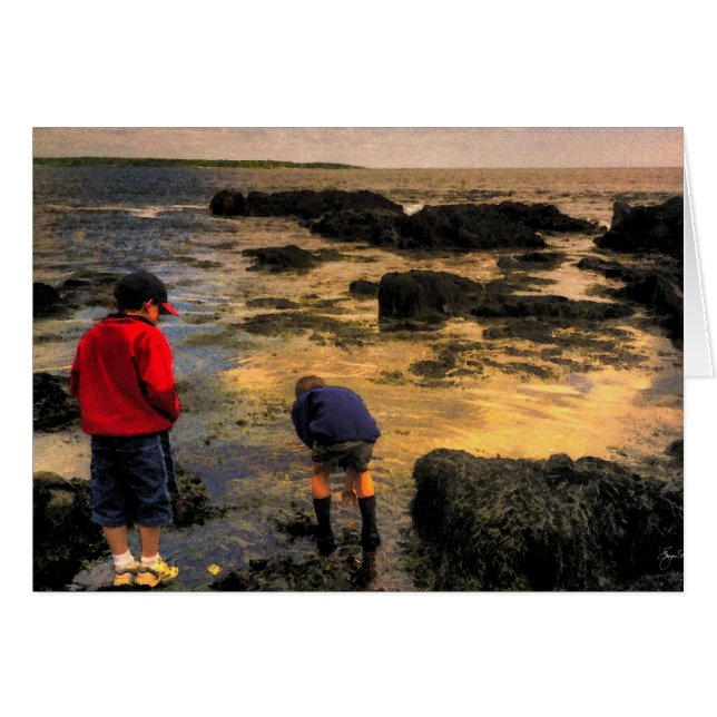 Exploring the Tidal Pools (Front Horizontal)
