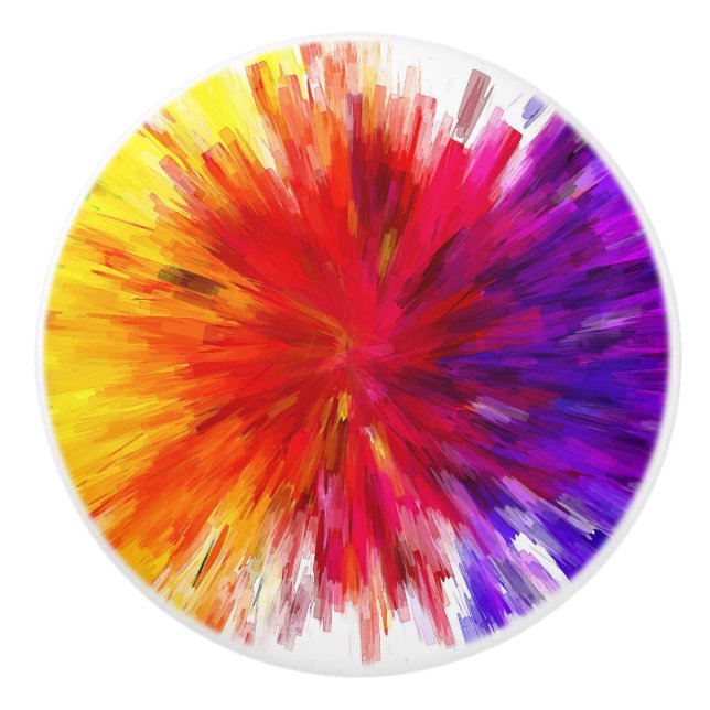 Explosion of Colour Ceramic Knob (Front)