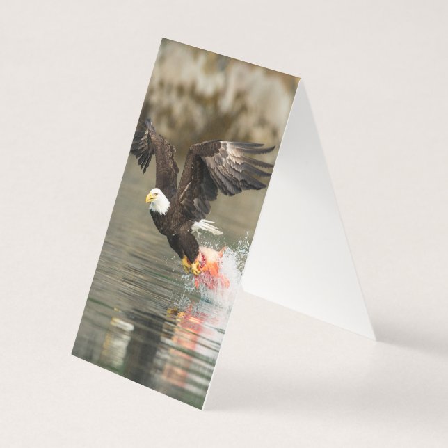 Explosive Bald Eagle (Back)