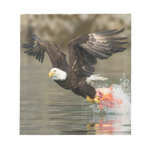 Explosive Bald Eagle Notepad