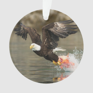 Explosive Bald Eagle Ornament