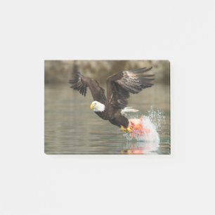 Explosive Bald Eagle Post-it Notes
