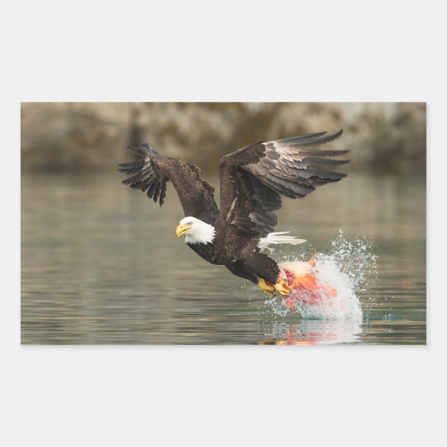 Explosive Bald Eagle Rectangular Sticker (Front)