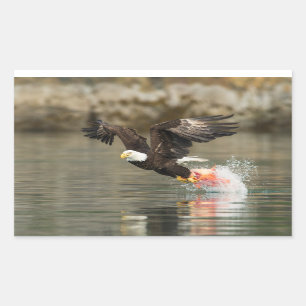Explosive Bald Eagle Rectangular Sticker