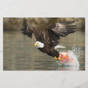Explosive Bald Eagle Stationery