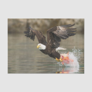 Explosive Bald Eagle Tissue Paper