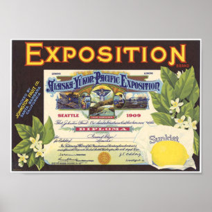 Exposition Brand Lemons Fruit Crate Label 1912 Poster