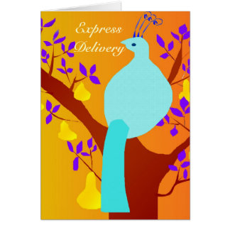 Express Delivery - Overflowing Abundance