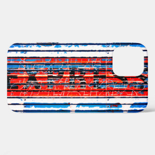 "Express" - Rustic Peeling Paint iPhone 12 Case