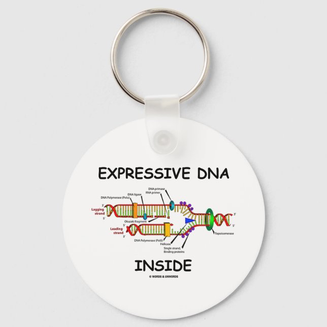 Expressive DNA Inside (DNA Replication) Key Ring (Front)