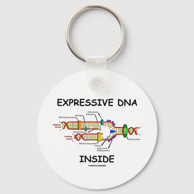 Expressive DNA Inside (DNA Replication) Key Ring (Front)